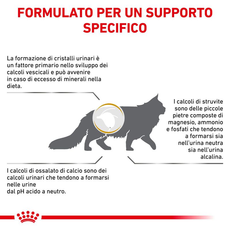 Royal Canin Veterinary Diet Cat Urinary S/O 400 gr