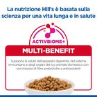 Hill's Science Plan Dog Medium Adult con Agnello e Riso 18 kg
