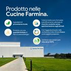 N&D Farmina Prime Dog Adult Medium & Maxi Agnello & Mirtillo 12 kg