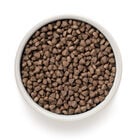 Grandorf Cat Sterilized Coniglio Tacchino 400 gr