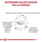 Royal Canin Veterinary Diet Cat Adult Gastrointestinal Hairball 400 gr