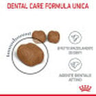Royal Canin Cat Adult Oral Care 1,5 kg