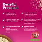 N&D Farmina Quinoa Skin & Coat Dog Mini con Anatra 2,5 kg