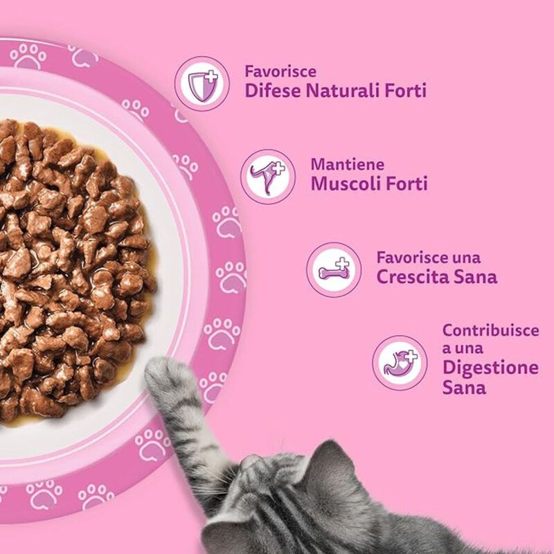 Whiskas Cat Junior Selezione Delicata in Gelatina 4 pz x 85 gr