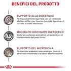 Royal Canin Veterinary Diet Cat Gastrointestinal Moderate Calorie 400 gr