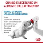 Royal Canin Babydog Milk 400 gr - Scad 31 ottobre 2026