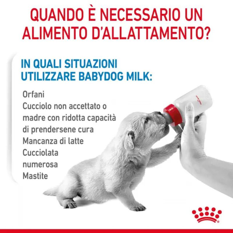 Royal Canin Babydog Milk 400 gr - Scad 31 ottobre 2026