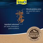 Tetra Discus Granules 100 ml