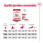 Royal Canin Dog Medium Senior +10 anni 15 kg