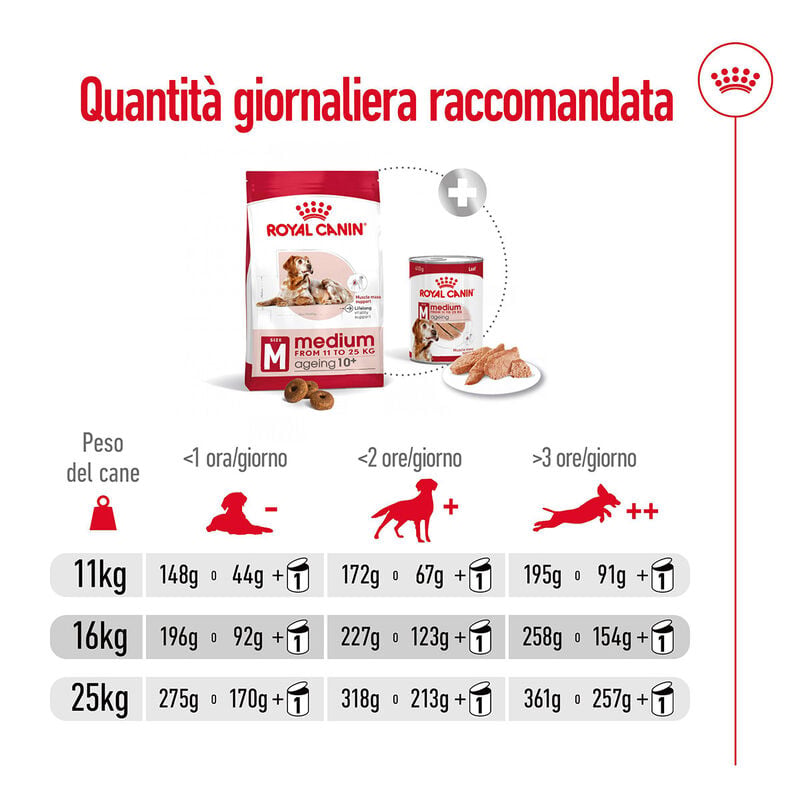 Royal Canin Dog Medium Senior +10 anni 15 kg