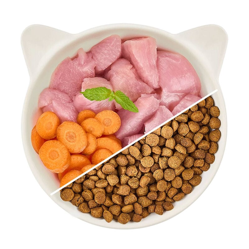 Wow Cat Kitten con Pollame e Carote 2 kg