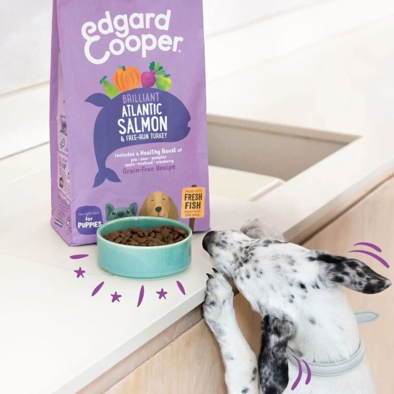 Edgard & Cooper Dog Puppy Large Breed Salmone e Tacchino 12 kg