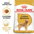 Royal Canin Dog Adult e Senior Golden Retriver 12 kg