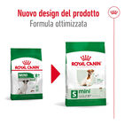 Royal Canin Dog Mini Adult e Senior +8 anni 800 gr