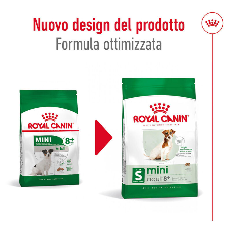 Royal Canin Dog Mini Adult e Senior +8 anni 800 gr