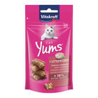 Vitakraft Cat yums pate' di fegato 40 gr