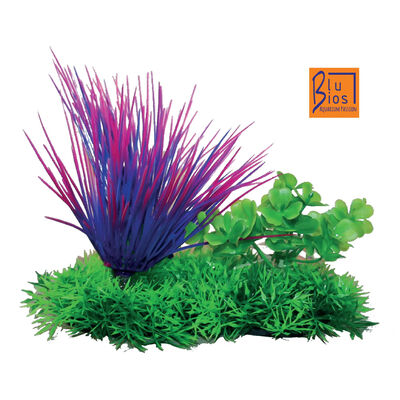 Blu Bios Pianta Dekor Aquatic