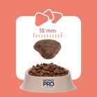 Monopro Dog Adult Medium&Large Grain Free Salmone 12 Kg