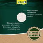 Tetra ReptoCal 100 ml