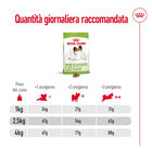 Royal Canin Dog Adult +8 anni X-Small 500 gr