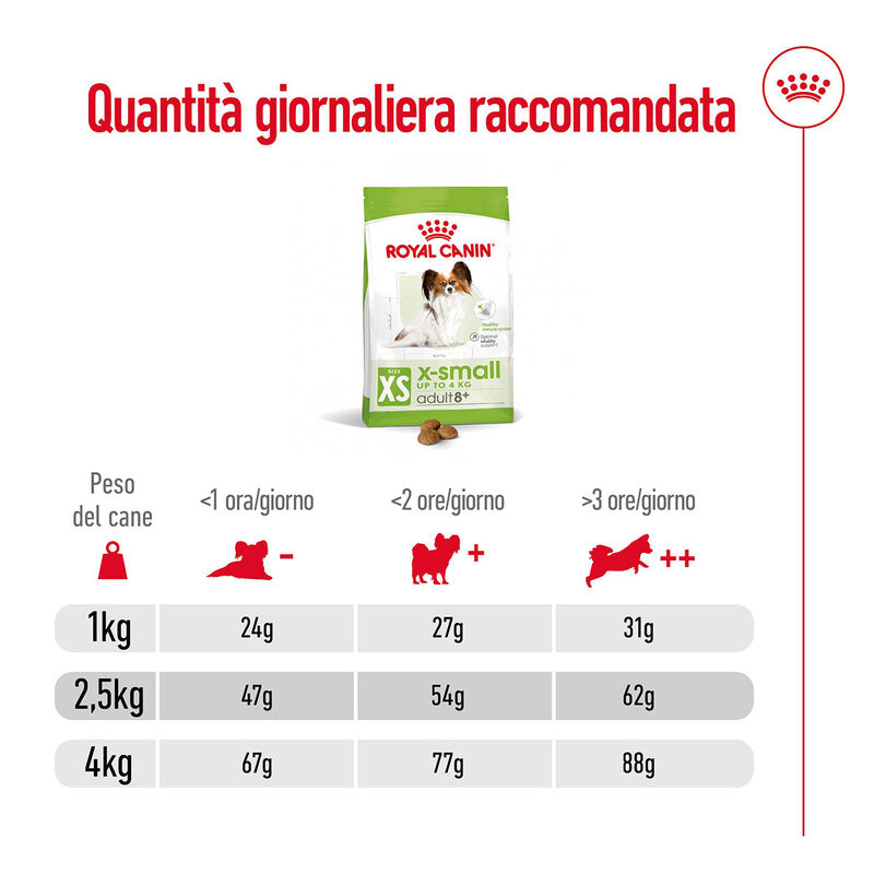 Royal Canin Dog Adult +8 anni X-Small 500 gr