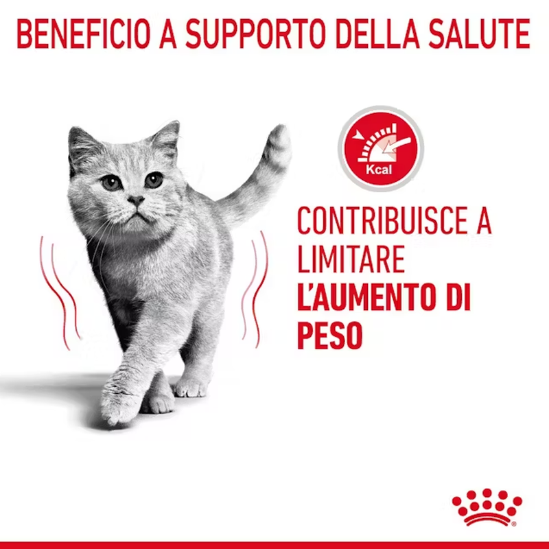 Royal Canin Cat Adult Light Weight Care Jelly 85 gr
