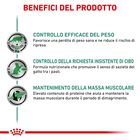 Royal Canin Veterinary Diet Cat Satiety Weight Management 12x85 gr