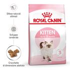Royal Canin Cat Kitten 400 gr