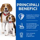 Hill's Science Plan Puppy&Mother Tender Mousse al Pollo 200 gr