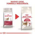 Royal Canin Cat Adult Fit 32 10 kg
