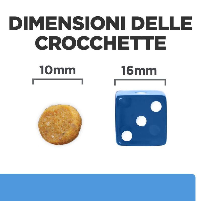 Hill's Prescription Diet Dog d/d Food Sensitives con Anatra e Riso 12 kg - Scad.01 Settembre 26