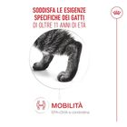 Royal Canin Cat Senior Ageing +11 anni 400 gr