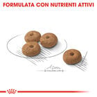 Royal Canin Dog Adult Mini Sterilised Care 3 kg