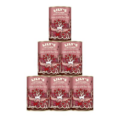Lily's Kitchen Dog Adult Venison Wild Boar Terrine con Patate Zucca e Fagioli Verdi 400 gr