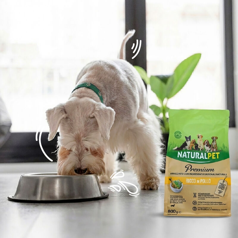 Naturalpet Premium Dog Adult Medium&Large ricco in Pollo 12 kg