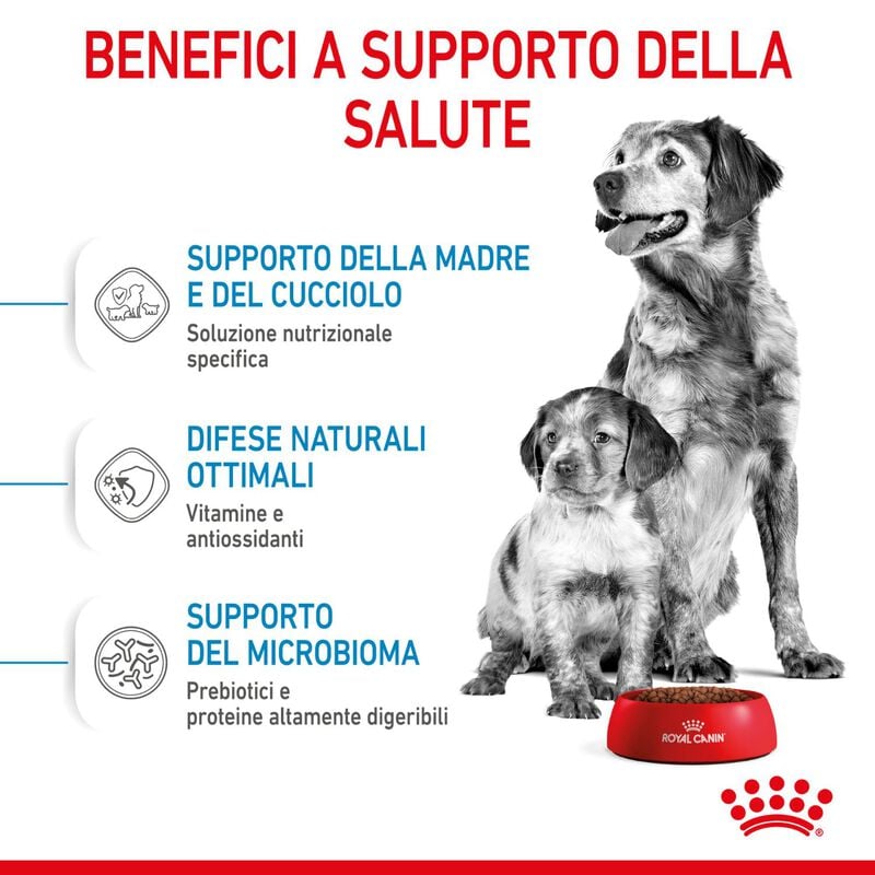 Royal Canin Dog Medium Starter Mother & Babydog 4 kg
