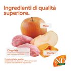 N&D Farmina Pumpkin Dog Adult Medium & Maxi Cinghiale e Mela 12 kg