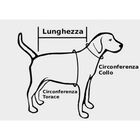 Hunter Impermeabile per cani Uppsala Cozy nero e rosso tg. 40