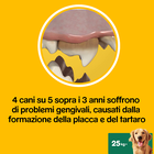 Pedigree Dentastix Daily fresh Dog Large 154x4 pz