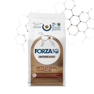 Forza10 Active Vet Diet Dog Intestinal Colon Fase 2 4 kg