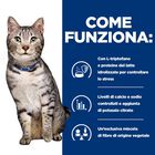 Hill's Prescription Diet Cat c/d Multicare Urinary Stress + Metabolic Obesity con Pollo 1,5 kg