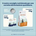Almo Nature Cat Adult Urinary Help con Pesce 70gr