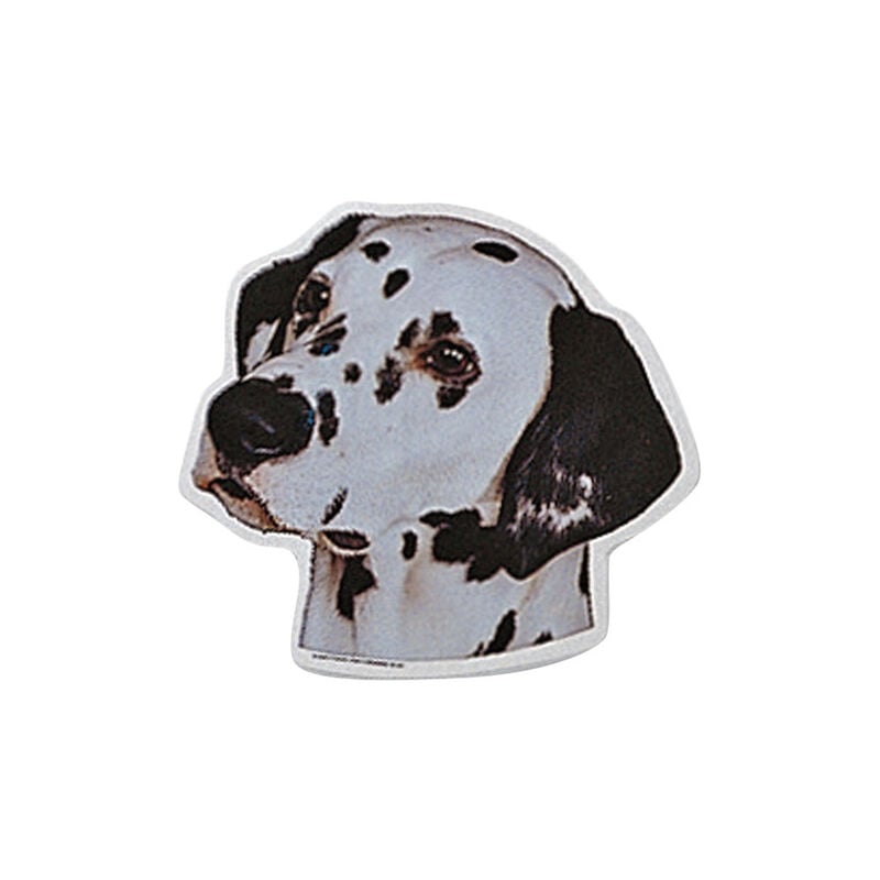 Camon Vetrofanie dalmata
