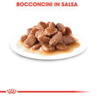 Royal Canin Cat Adult Sterilised in Salsa 85gr 