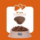 Monopro Dog Adult Medium&Large Grain Free Anatra 12 kg