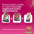 N&D Farmina Quinoa Weight Management Dog Medium & Maxi Agnello 2,5 kg