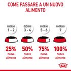 Royal Canin Cat Adult Urinary Care Gravy 85 gr