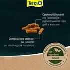 Tetra Pond Colour Sticks 4 L