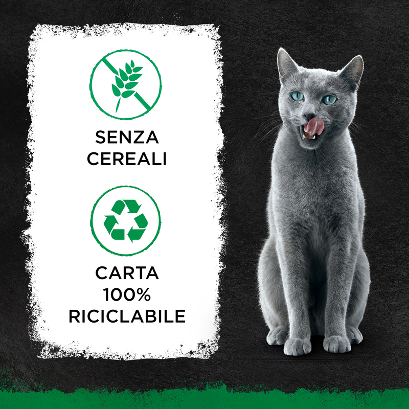 Sheba Nature's Collection Selezione Delicata in Gelatina 40 pz x 85 gr