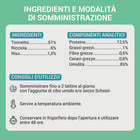 Schesir Cat Jelly Tonnetto con Ricciola 70g
